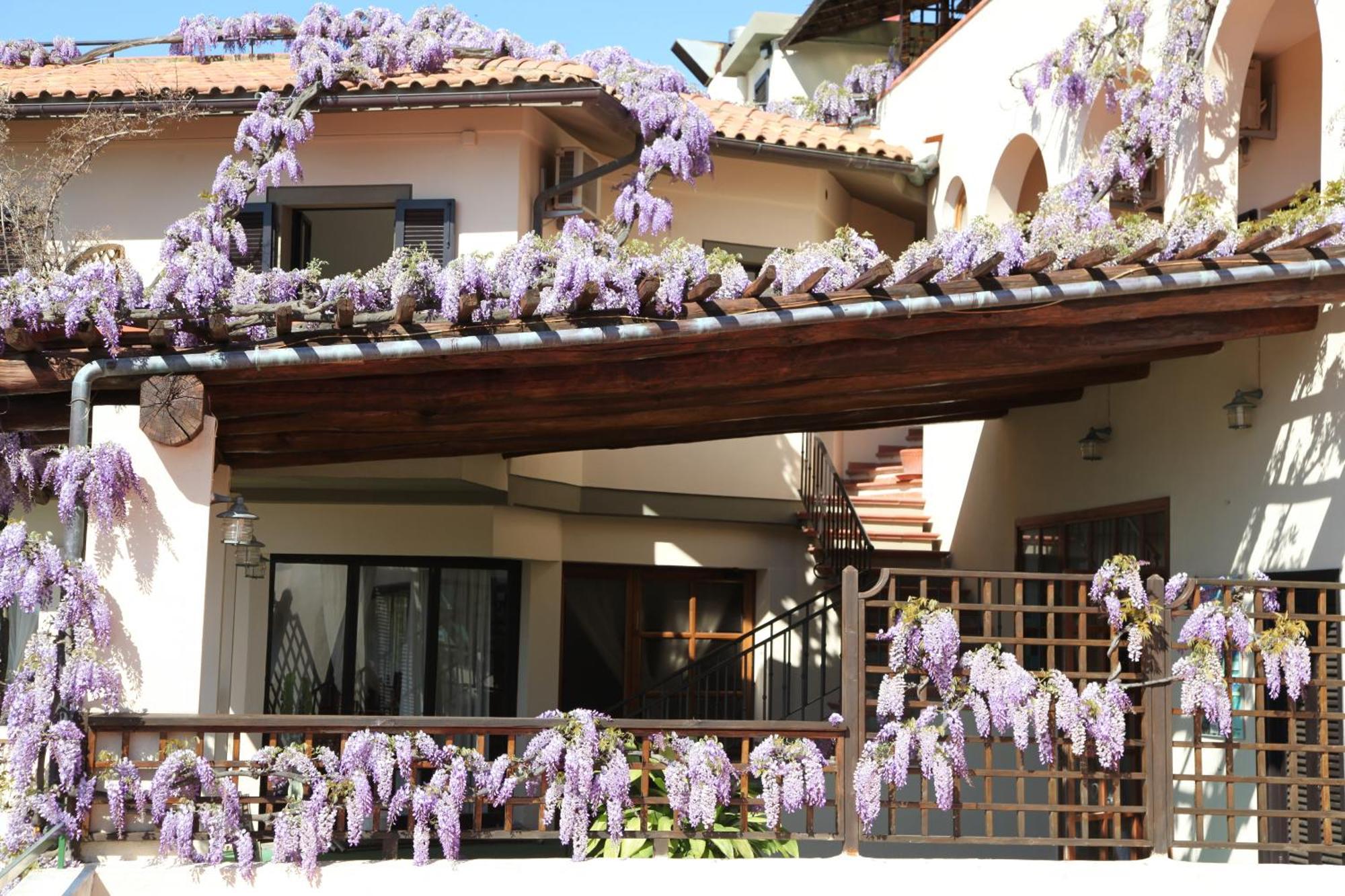 Hotel Galli - Wellness & Spa Fetovaia Exterior photo