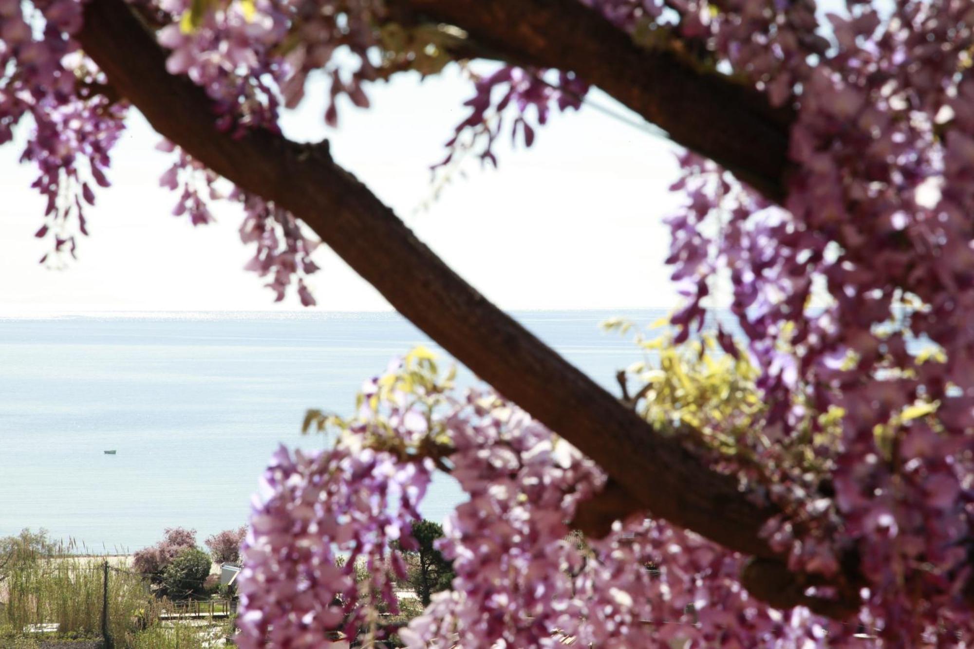 Hotel Galli - Wellness & Spa Fetovaia Exterior photo